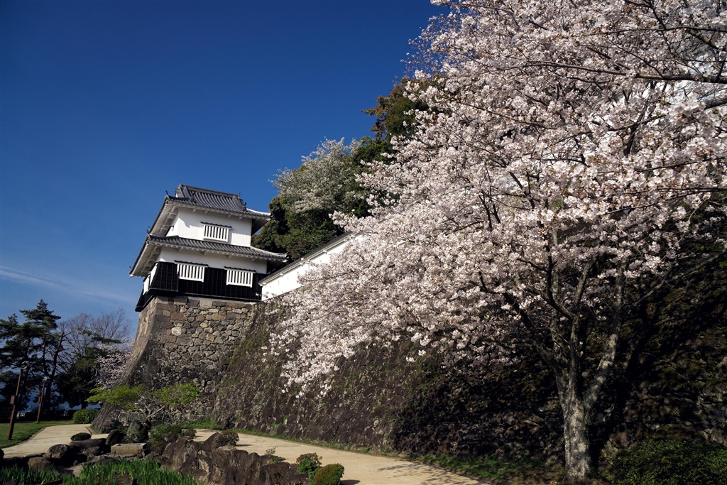 価格.com - 『α6700で撮影』SONY Vario-Tessar T* E 16-70mm F4 ZA OSS