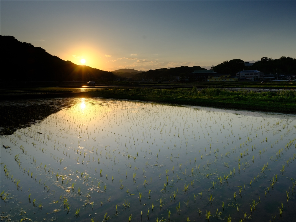 価格.com - 『Jpeg Velvia GFX 50sⅡ Reverse-GND8 フィルター