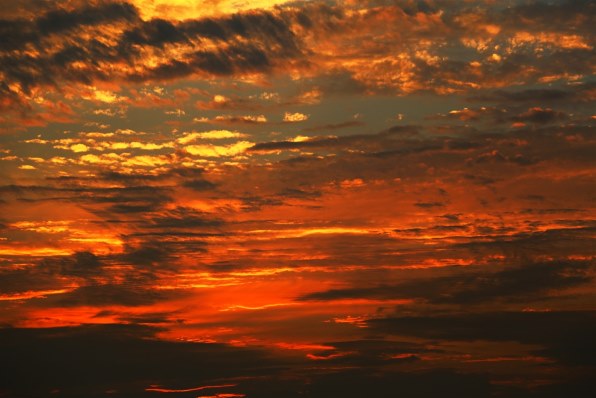 写真作例 色いろいろ １２２ みおくる夏 クチコミ掲示板 価格 Com