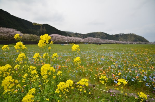 みなさんの旅行先で使うおすすめレンズを教えてください みなさんの旅行先で使うおすすめレンズを教えてください