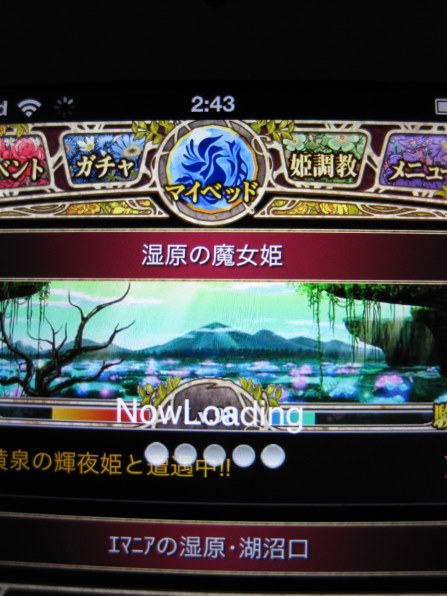 CANON IXY DIGITAL 95 ISで撮影された写真 (掲示板) - 価格.com