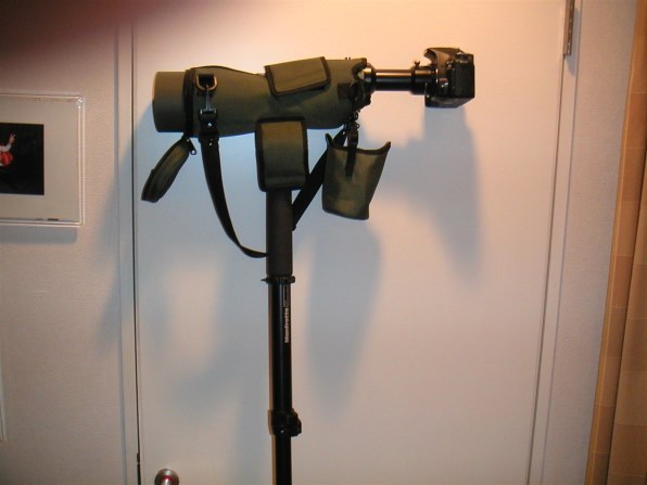 ☆極上品☆ ぐらつく Nikon EDG VR 85 PFIELD SCOPE 単眼鏡