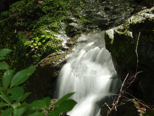 パナソニック　LUMIX　 DMC-FX80　キャンドルホワイト　美品 パナソニック LUMIX DMC-FX80-W [キャンドルホワイト]投稿画像・動画