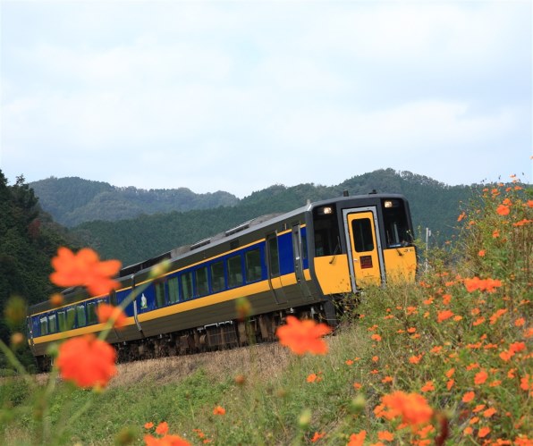 鉄道写真] 東海道線、島田駅の旧駅舎 人気 昭和56年(191)