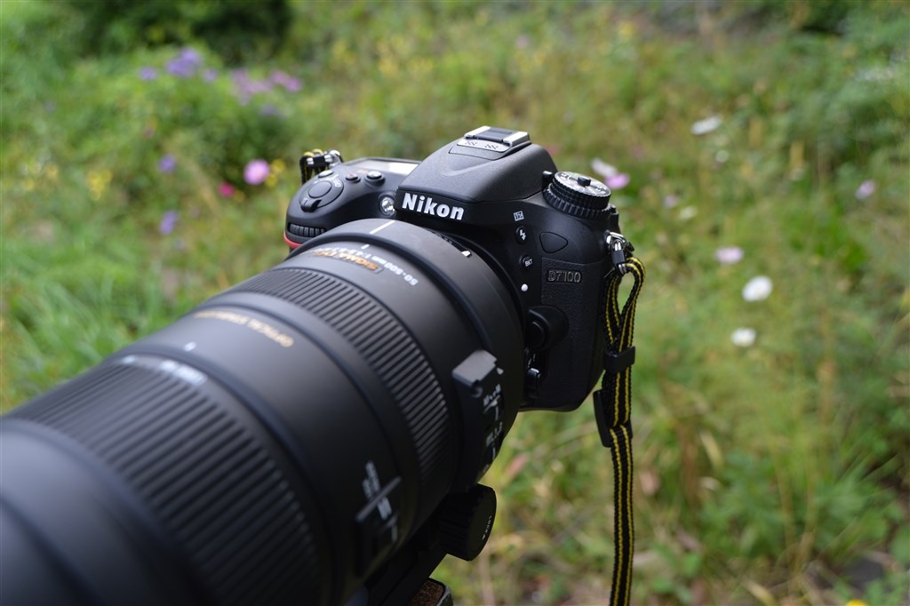 D7000とd7100は どちらがオススメでしょう ニコン D7000 ボディ のクチコミ掲示板 価格 Com