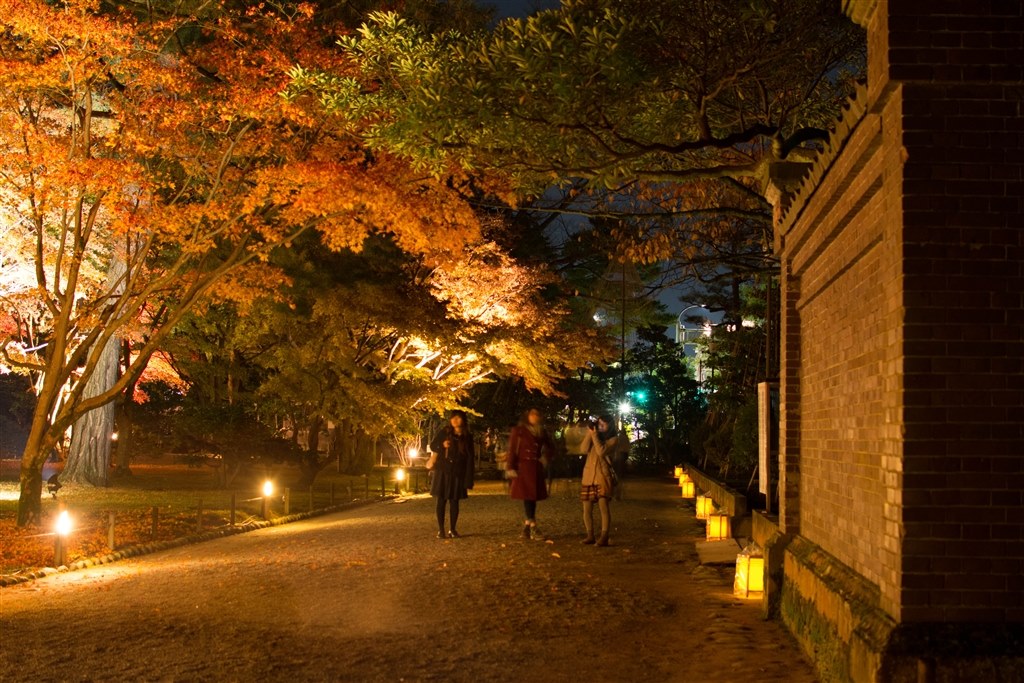 D5200で夜景撮影』 ニコン D5200 18-55 VR レンズキット のクチコミ