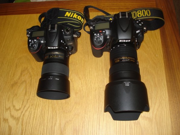 D800におすすめのポートレート用のレンズは』 ニコン D800 ボディ の