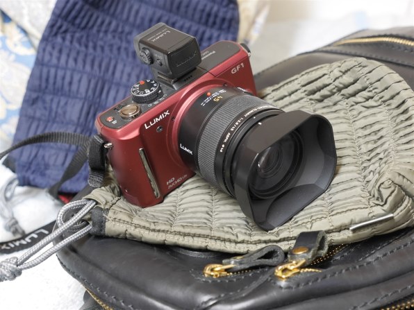 保育園幼稚園のイベントに最適なカメラ!パナソニック ミラーレス一眼 保育園幼稚園のイベントに最適なカメラ!パナソニック ミラーレス一眼