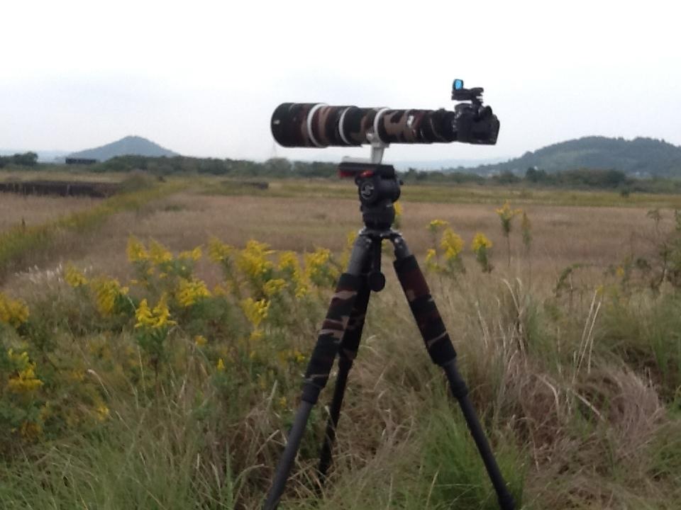 レンズ(単焦点) PENTAX - PENTAX HD PENTAX-DA 560mm F5.6 ED AW 交換レンズ実写ギャラリー：ペンタックスHD PENTAX-DA 560mm F5