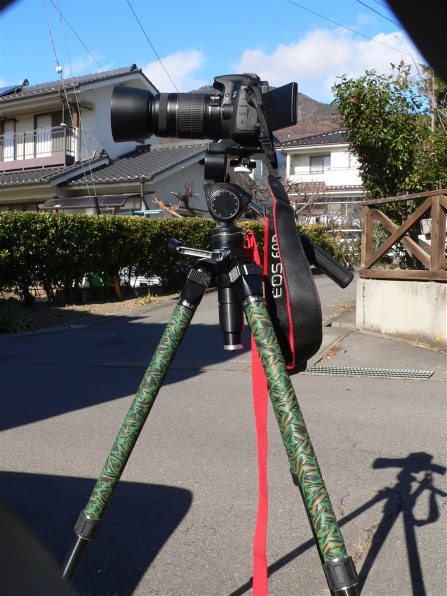 スマホ/家電/カメラSIGMA APO 170-500mm キャノンに使用