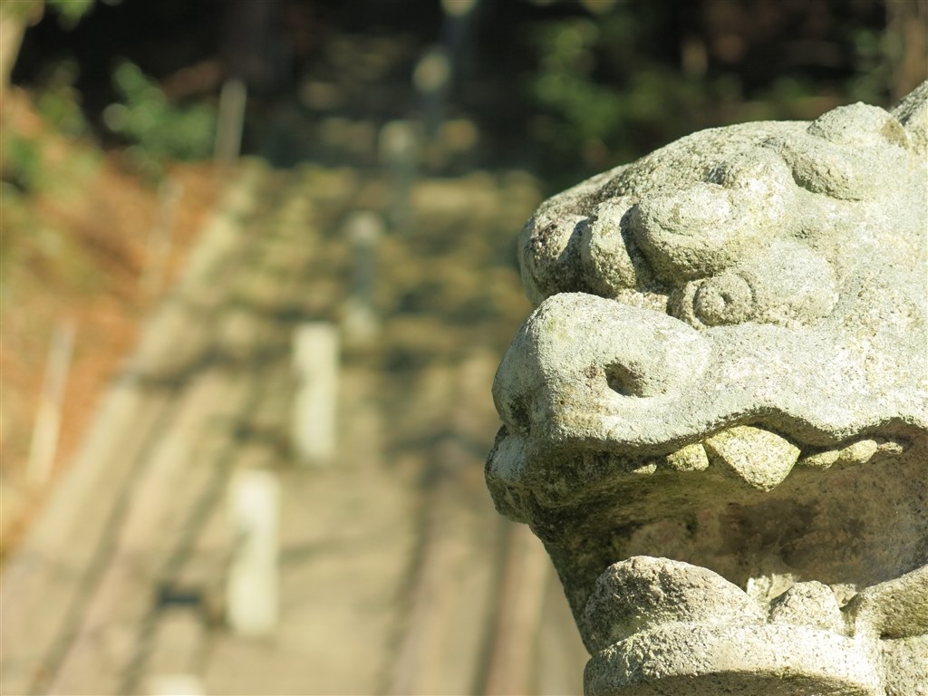 人物背景ぼかしが出来るコンデジ』 CANON PowerShot S120 のクチコミ