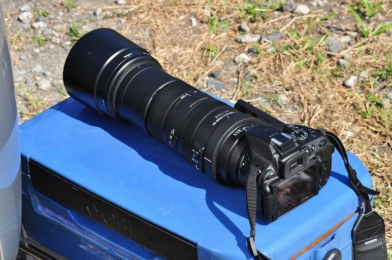 付属の三脚台座について』 シグマ APO 50-500mm F4.5-6.3 DG OS HSM