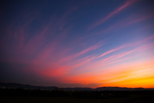 TAMRON AF18-250mm F/3.5-6.3 Di II LD Aspherical [IF] Macro (Model