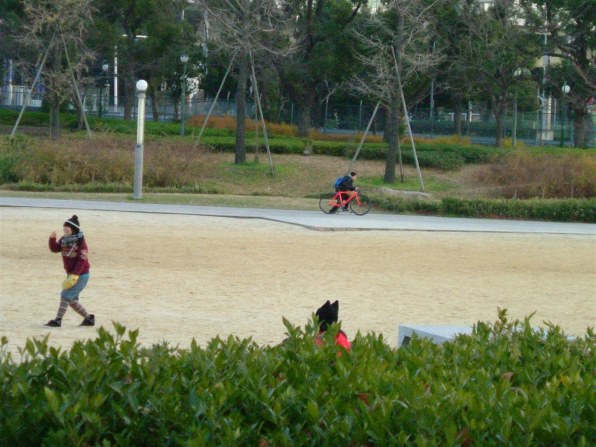 富士フイルム FinePix F410で撮影された写真 - 価格.com