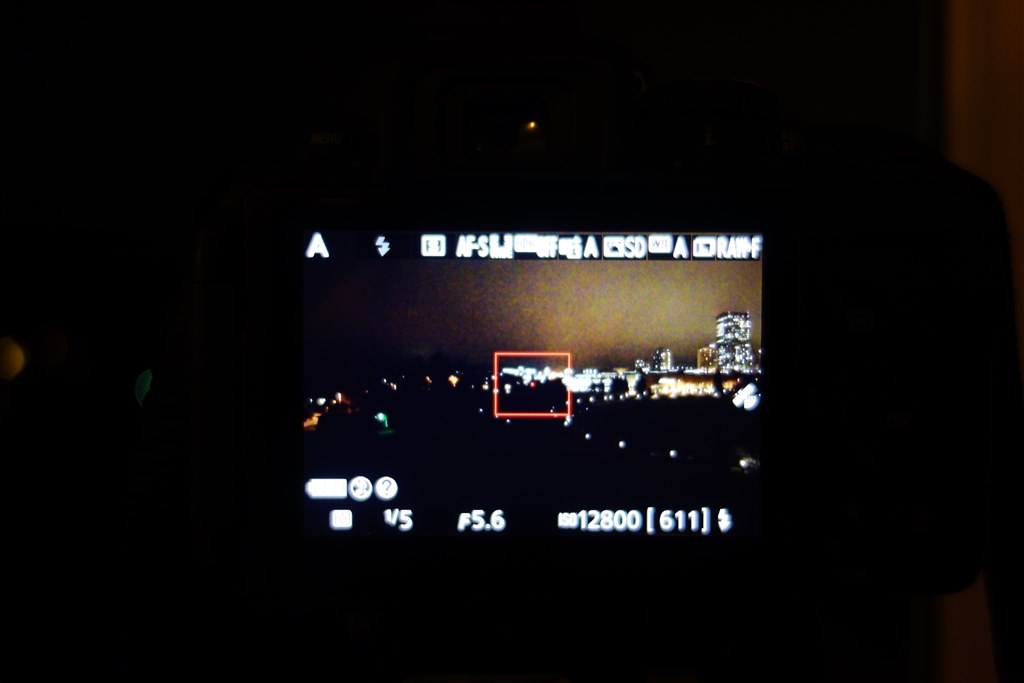 Nikon D5300 (ボタン動作効きにくいです) Nikon D5300 (ボタン動作効きにくいです) 迷ったらこれ！D5300の