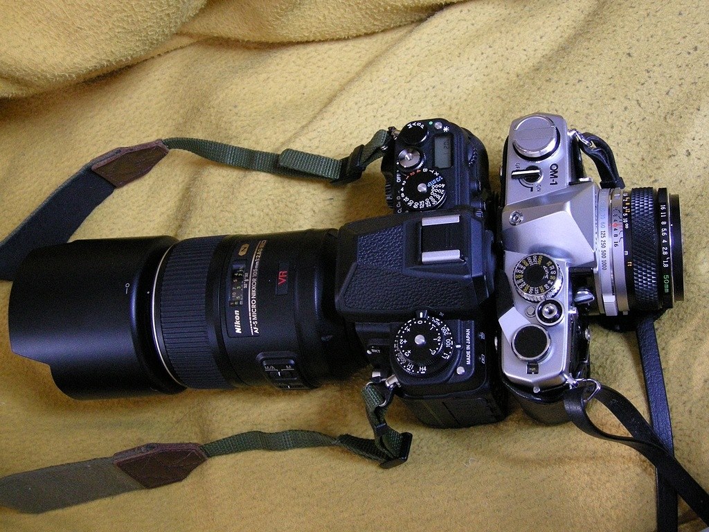 美品 NIKON DF ショット数4000回大体 カメラの八百富｜ニコン NIKON Df が明日から新発売 - 中古