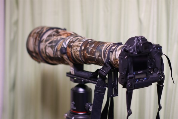 SIGMA - SIGMA APO 300-800mm F5.6 EX DG HSM キヤノン用 Sigma APO 300-800 F/5.6 EX DG HSM for Canon - The Photo Center