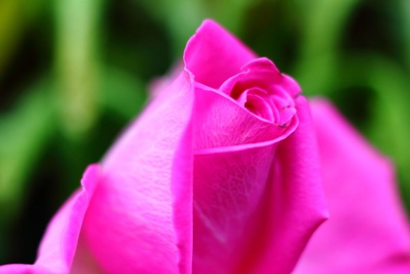 パンケーキファンの方はこちらへどうぞ パート16 Canon Ef40mm F2 8 Stm のクチコミ掲示板 価格 Com