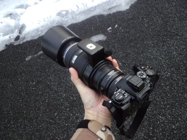 E-M1はじめマイクロフォーサーズ機での野鳥撮影におけるレンズ考』 オリンパス OLYMPUS OM-D E-M1 12-40mm F2.8  レンズキット のクチコミ掲示板 - 価格.com