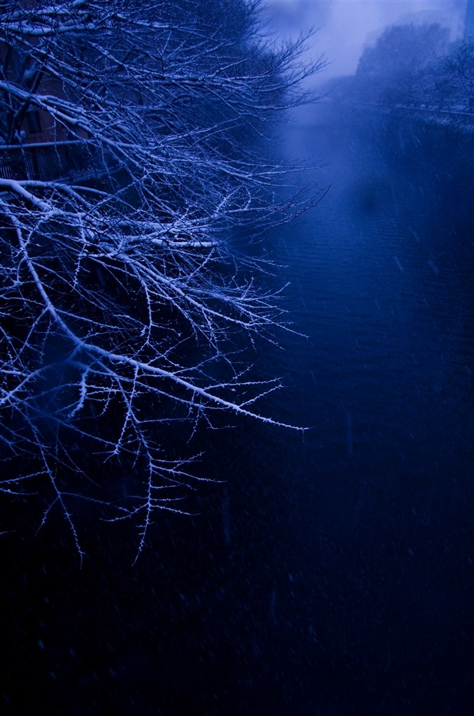 夜空、風景の撮影用のレンズとして』 ペンタックス smc PENTAX-DA☆ 16