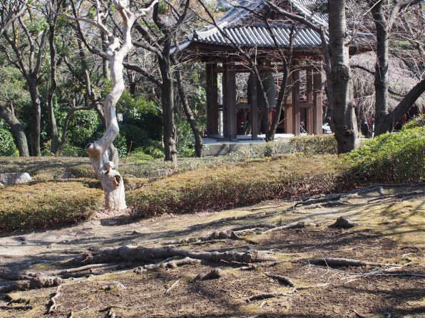 シグマ 30mm F2.8 EX DN [マイクロフォーサーズ用]で撮影された写真