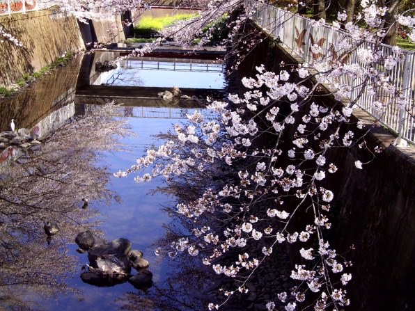 ポラロイド Z340-Jで撮影された写真 - 価格.com