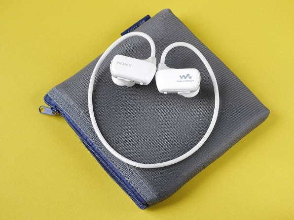 SONY NW-W273S [4GB] 価格比較 - 価格.com