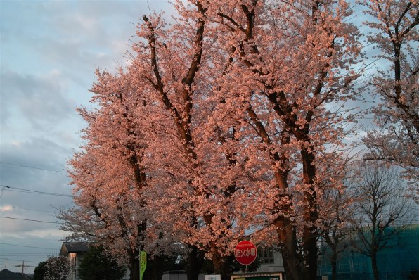 シグマ SIGMA DP2s投稿画像・動画 - 価格.com シグマ SIGMA DP2s投稿画像・動画 - 価格.com