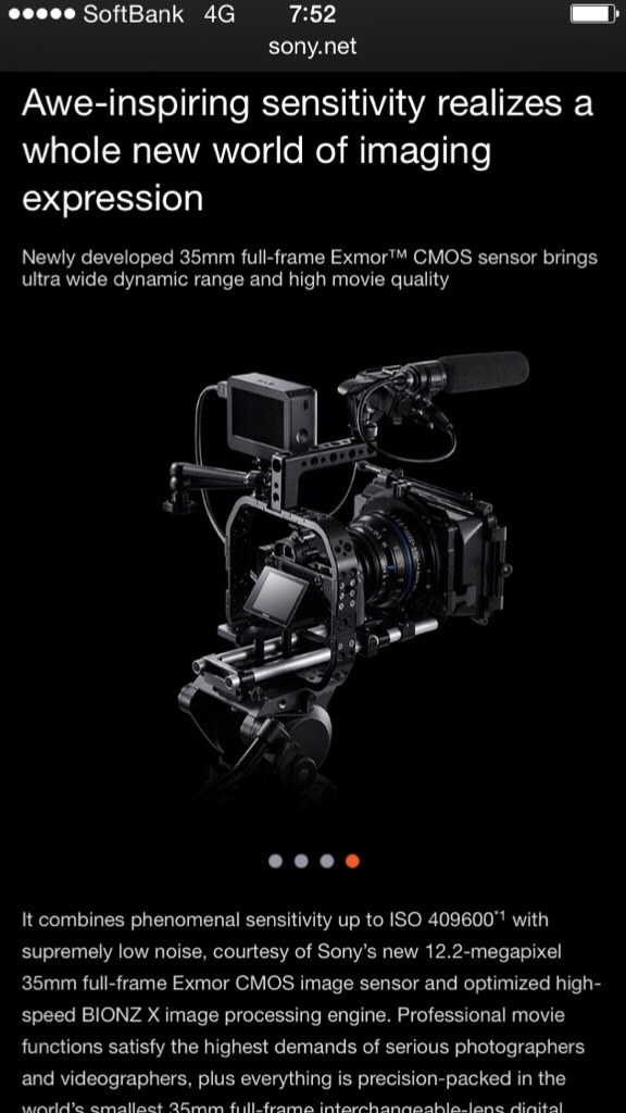 SONY 組み直し α7RⅢ(ilce7rm3) ショット数4149回！良品です！