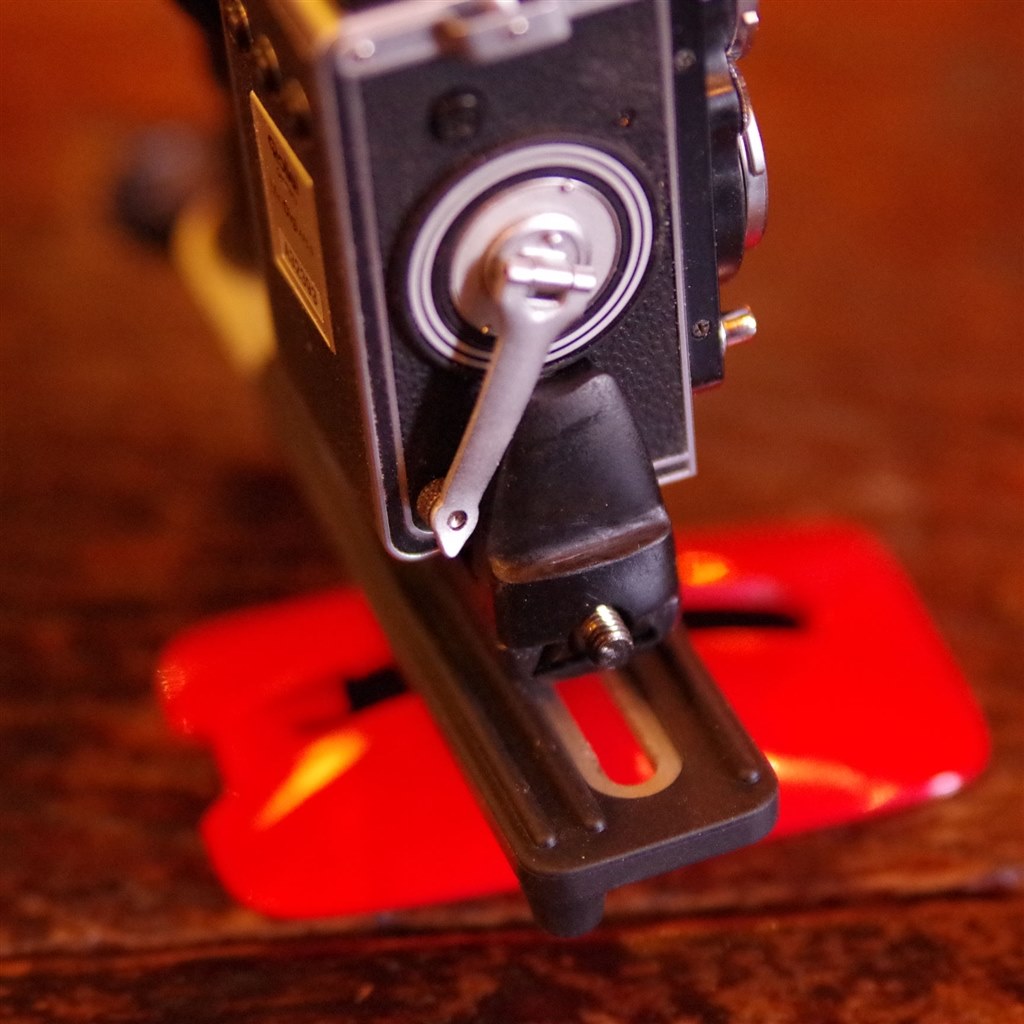Rollei flex minidigi AF5.0 ケース付（ピッタリ入るレザーケース 