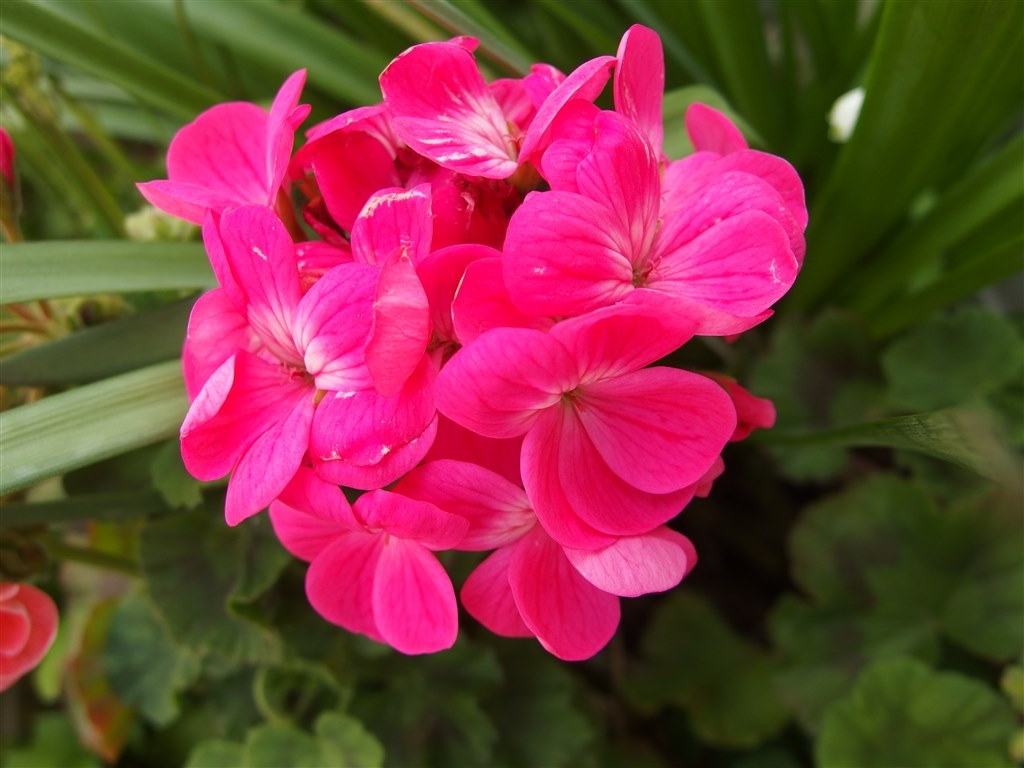 MX-1との画質の違い』 オリンパス OLYMPUS STYLUS XZ-2 のクチコミ