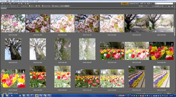 富士フイルム FinePix F770EXR [ブラック]投稿画像・動画 - 価格.com