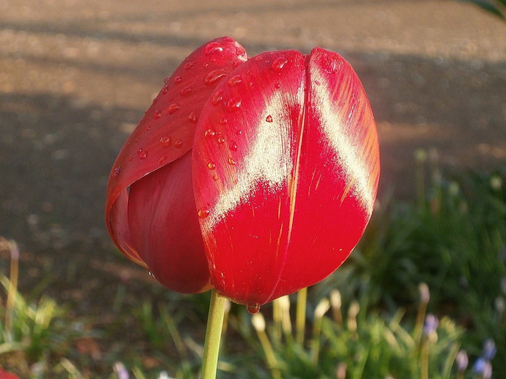 1878853_f.jpg