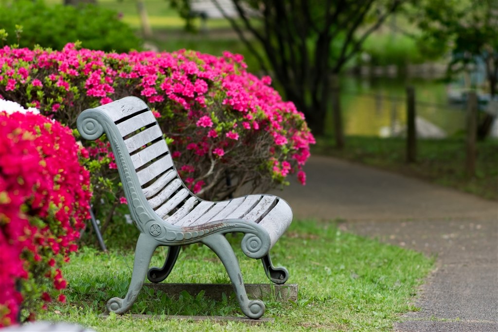作例募集!』 ペンタックス smc PENTAX-DA☆ 200mm F2.8ED [IF 作例募集!』 ペンタックス smc PENTAX-DA☆ 200mm F2.8ED [IF