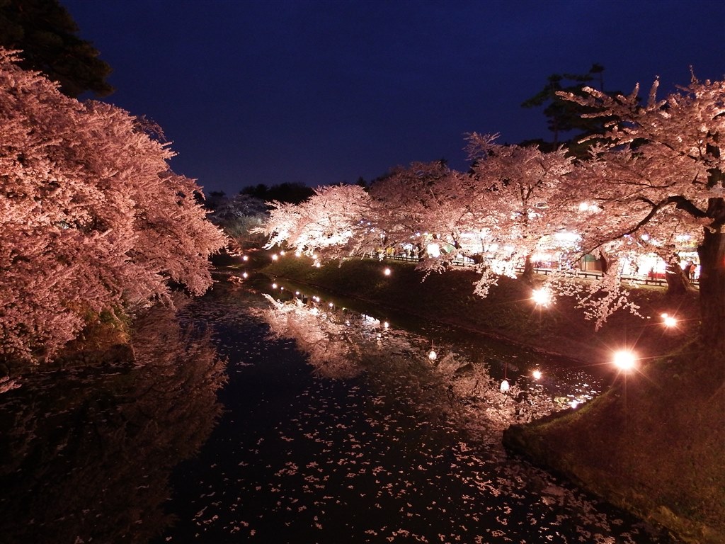 昼桜と夜桜（弘前さくらまつり）』 富士フイルム FinePix S1 の