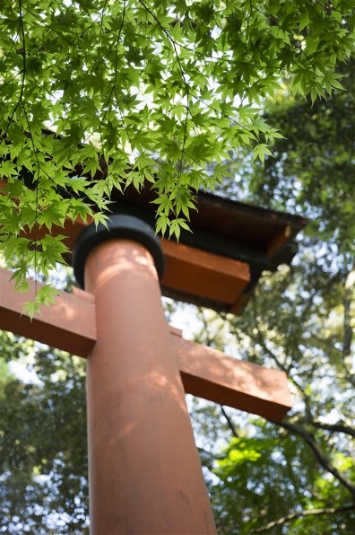 カールツァイス Carl Zeiss Distagon 45mm F2.8 T* 京セラ Carl Zeiss Distagon T* 45mm F2.8で撮影された写真 - 価格.com