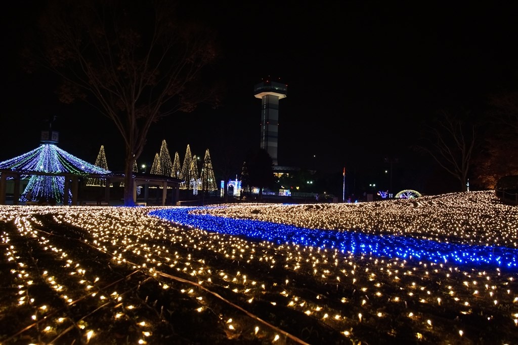 バージョンアップに シグマ 17 50mm F2 8 Ex Dc Hsm ソニー用 のクチコミ掲示板 価格 Com