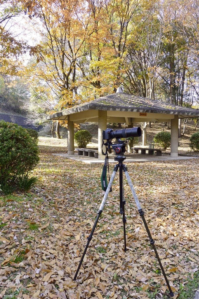 代わりの三脚座の選択肢について』 ニコン AI AF-S Nikkor 300mm f/4D