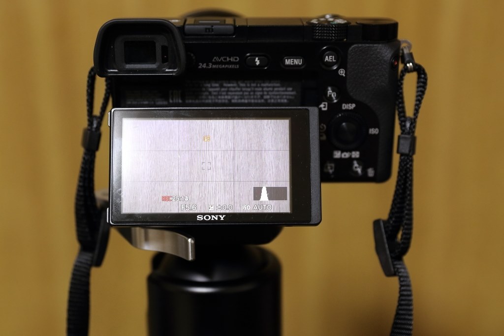 動画連続撮影の案配は？』 SONY α6000 ILCE-6000 ボディ のクチコミ