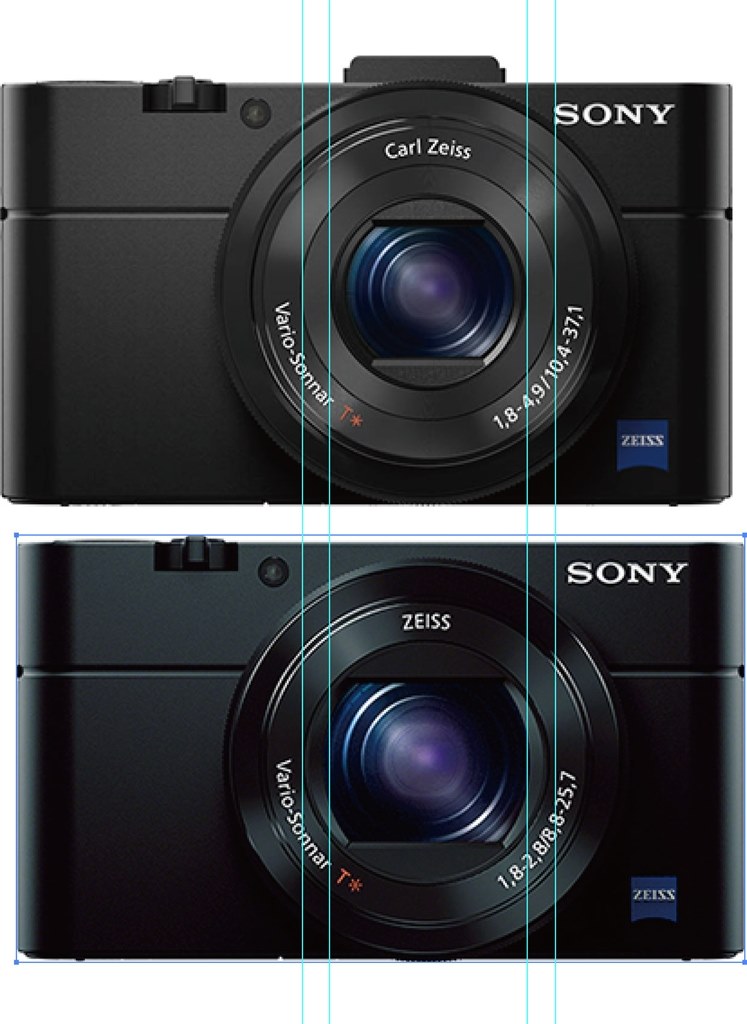 国内発送SONY サイバーショットRX100M2 リコーDW-6取付 デジタルカメラ