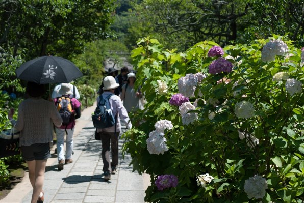 写真作例 色いろいろ Part158 「初夏を撮ろう^^♪」』 クチコミ掲示板