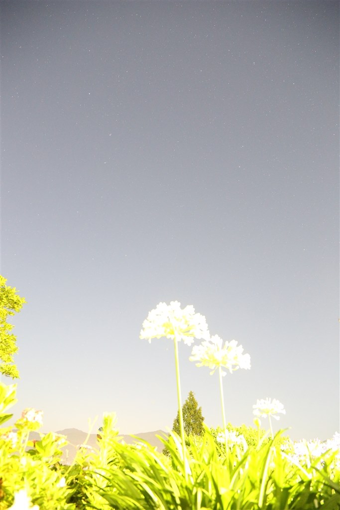 天の川』 CANON EF-S10-22mm F3.5-4.5 USM のクチコミ掲示板