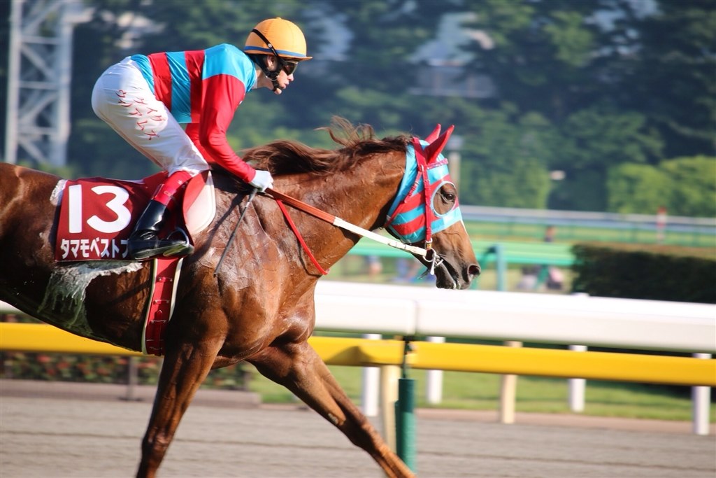 【9/28まで値下げ】Canon EF 300mm F4 IS USM実写付き 競馬撮影』 CANON EF300mm F4L IS USM のクチコミ掲示板 - 価格.com