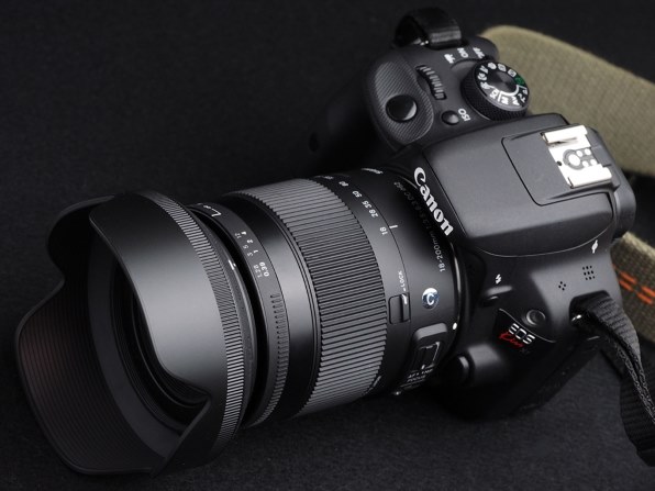 シグマ 18-250mm F3.5-6.3 DC MACRO HSM [ソニー用]投稿画像・動画