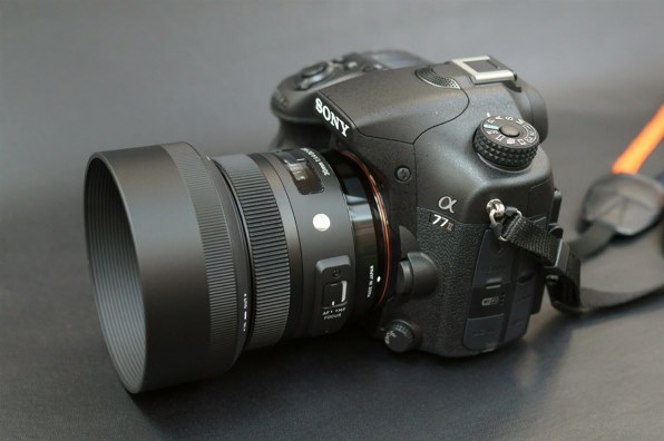 ☆カビあり品☆ シグマ EX 30mm F1.4 DC ソニー #19907 シグマ 30mm F1.