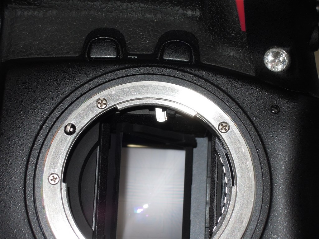 ニコンD800を中古で購入しました。』 ニコン D800 ボディ の