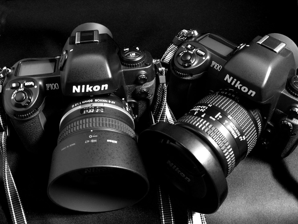 Nikon F100で使えますでしょうか？』 ニコン AF-S DX NIKKOR 18-55mm f 