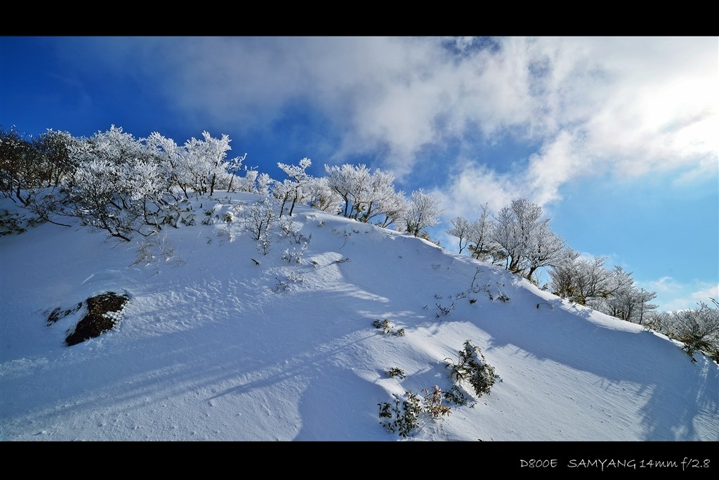 このレンズは？』 SAMYANG 14mm F2.8 ED AS IF UMC [ニコン用] の