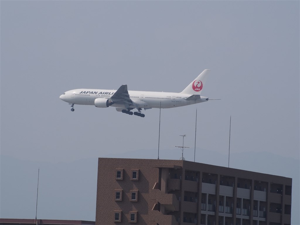 ライブビューファインダーでは難しいです（＾＾；』 オリンパス