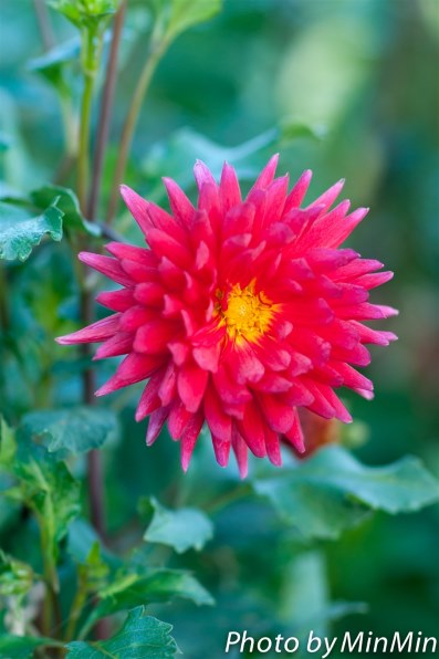 Part156です 本格的な秋を撮りましょう クチコミ掲示板 価格 Com